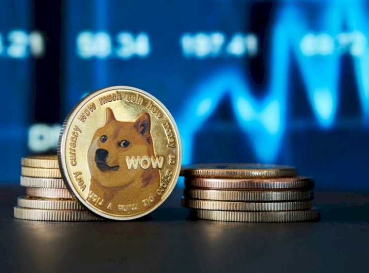 Ka ngordhur qeni nga memeja e njohur “Great Dane” dhe kriptomonedha “Dogecoin”.